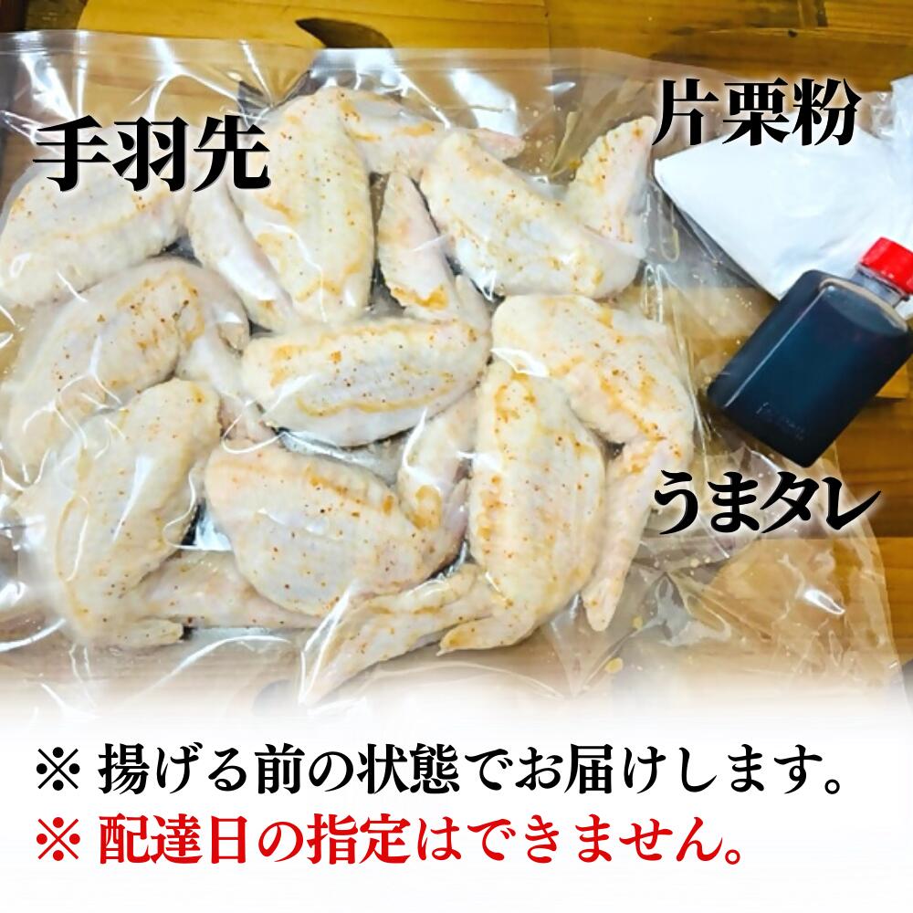 【ふるさと納税】うまタレ 付 手羽先 600g 【 からあげ 壱気 】 大分 九州 グルメ 唐揚げ から揚げ