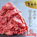 【ふるさと納税】牛肉 切り落とし バラ (600g×2パック) 計1.2kg おおいた豊美牛 国産牛 九州産 肉 やわらか ブランド牛 冷凍 送料無料