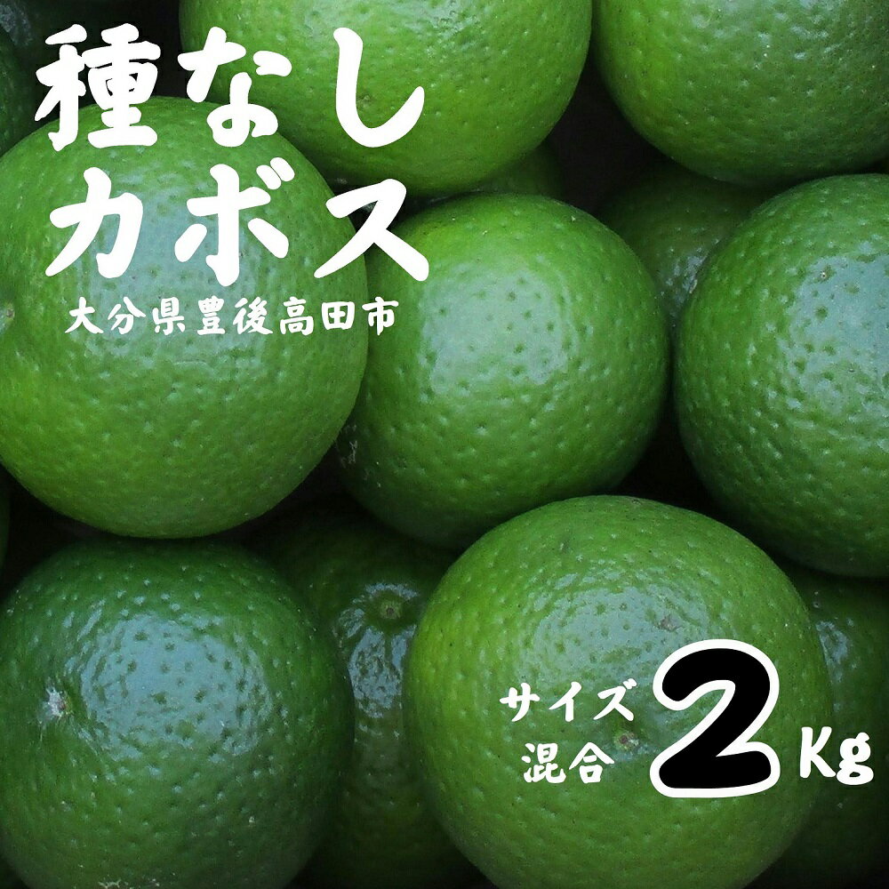 【ふるさと納税】先行予約 種なし カボス 2kg サイズ 混