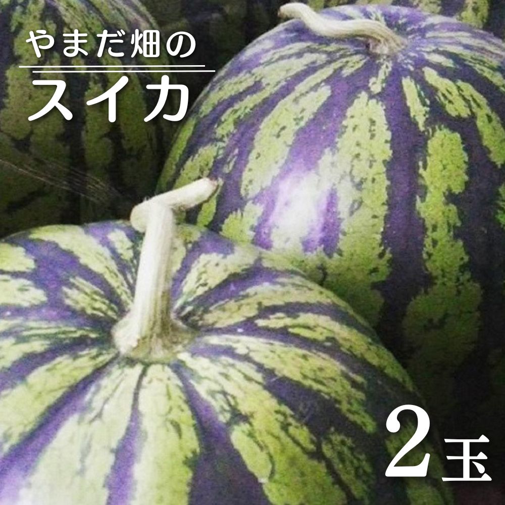 13位! 口コミ数「1件」評価「5」先行予約 やまだ畑の スイカ 2玉 ・ 2L~3L サイズ 果物 くだもの フルーツ すいか 西瓜 産地直送 大玉