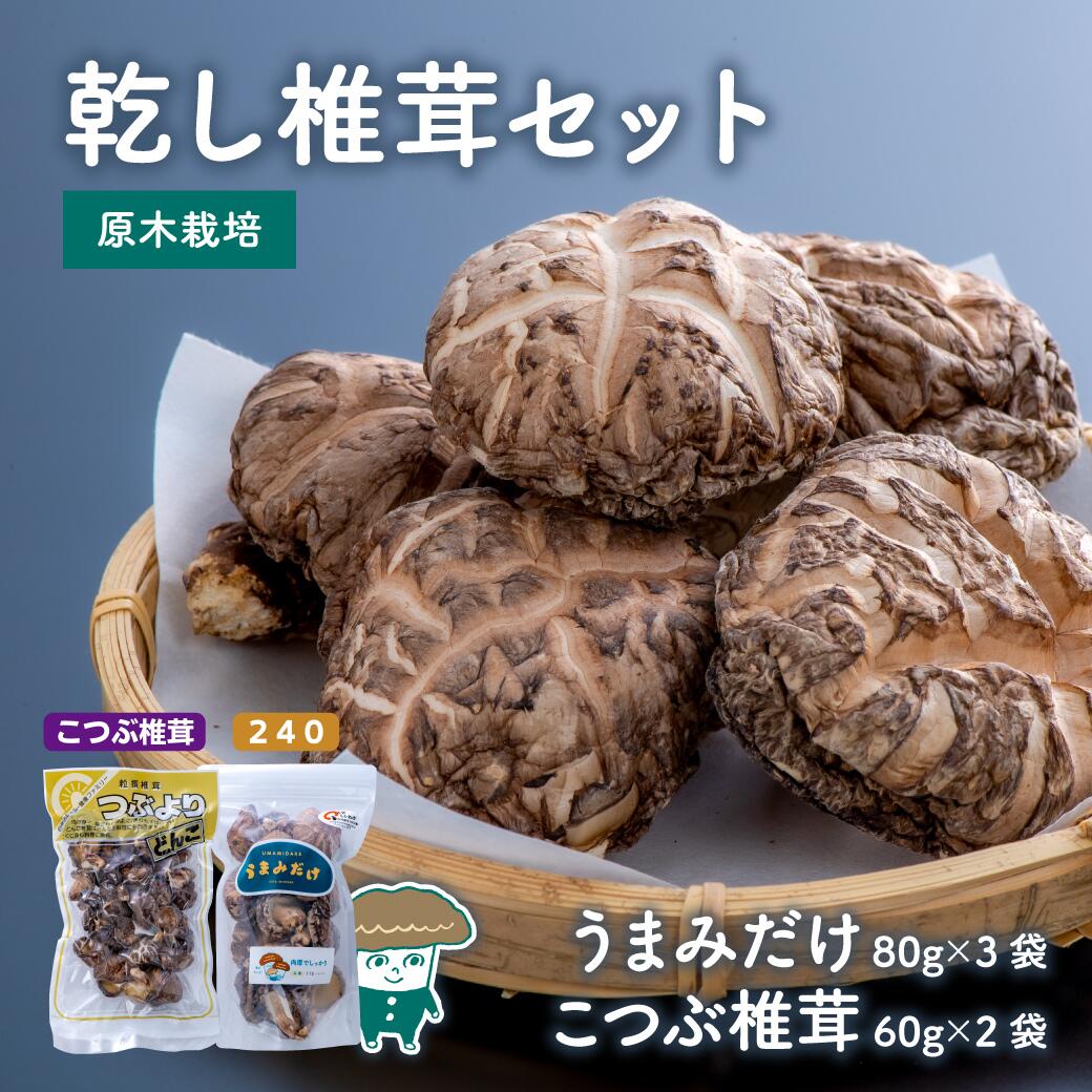 乾し 椎茸 セット 360g 大分県 新ブランド うまみだけ 240 こつぶ 椎茸 どんこ 干ししいたけ 原木