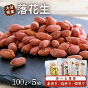 【ふるさと納税】落花生 大分県産 100g×5袋 選べる種類【素煎り/塩煎り/殻煎り】 豆 詰合せ らっかせい ピーナッツ ぶんごたかだ特製落花生 国産 お取り...