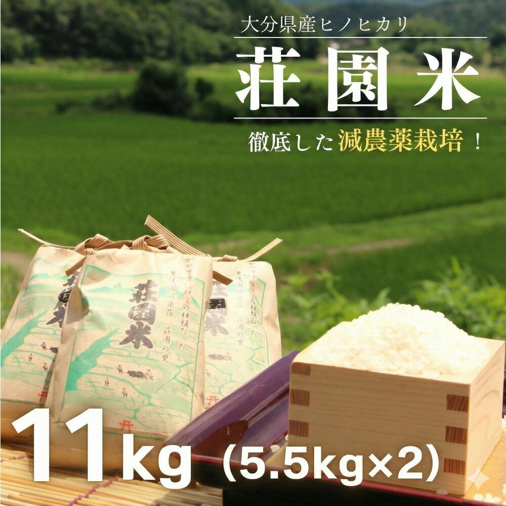 「玄米」荘園米 11kg(5.5kg×2袋/精米後約 5kg×2袋) 米 お米 精米 ひのひかり ヒノヒカリ