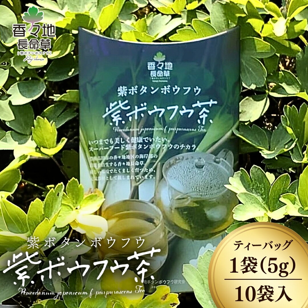 香々地長命草紫ボウフウ茶(5g×10袋入)| 香々地ベジファーム 豊後高田市 お茶 長命草 お通じ改善 ボタンボウフウ 健康習慣 ふるさと納税 長命草 個包装 美容 健康 粉末 健康維持 野菜不足 食物繊維 ビタミン 鉄