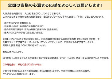 【ふるさと納税】【子育て支援限定使い道】賛同型寄付（大分県豊後高田市）