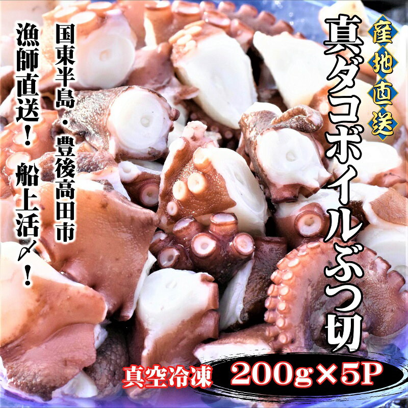 【ふるさと納税】船上活締め！真ダコ ボイル ぶつ切り 200g×5P マダコ たこ 蛸 真空パック 小分け