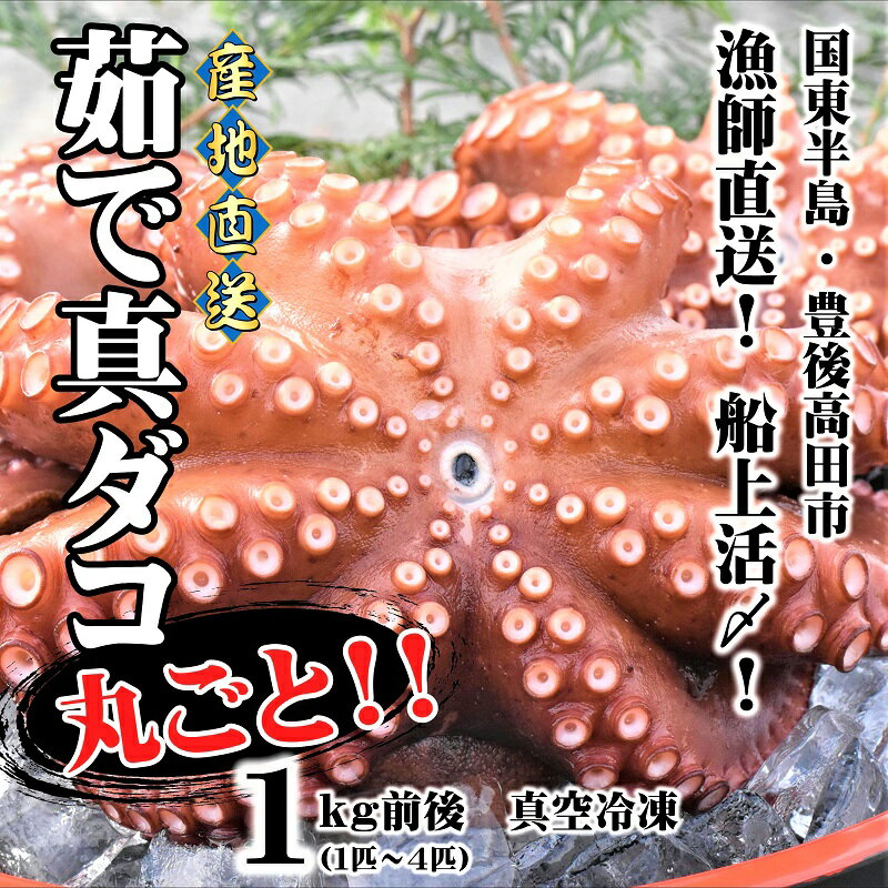 【ふるさと納税】船上活締め！ゆで 真ダコ 丸ごと 1～4匹 マダコ 冷凍 ボイル タコ 蛸 真空パック