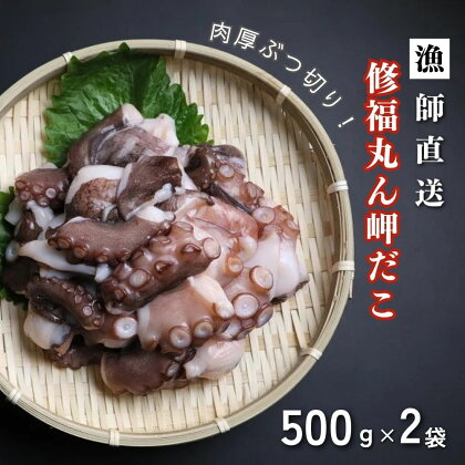 修福丸ん岬だこ ブツ切り 500g × 2P 計 1kg 真だこ 肉厚 産地直送 真空 パック