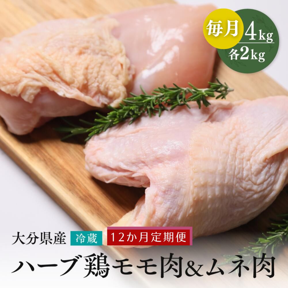 【ふるさと納税】鶏肉 定期便 もも肉 むね肉 大分県産 ハーブ鶏 【各2kg/12か月定期便】計48kg 業務用 冷蔵 配送 国産 九州 鶏肉 鶏もも ムネ 毎月 発送 12回