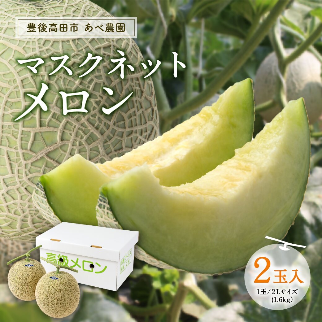 【ふるさと納税】マスクネット メロン 2玉箱入のサムネイル