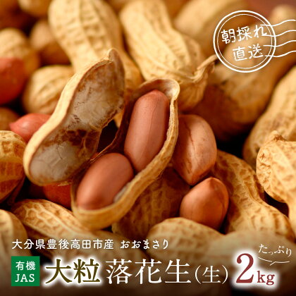 先行予約 大粒 落花生 2kg おおまさり 有機栽培 有機JAS 国産