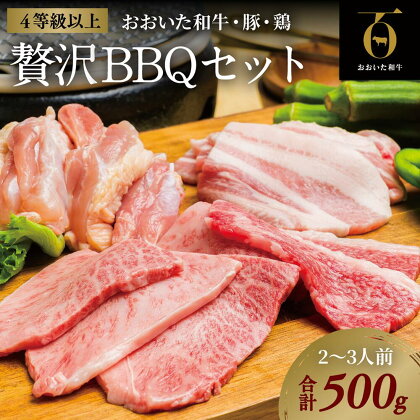 黒毛和牛 A5 A4 おおいた和牛 豚バラ 鶏もも 焼肉 セット 合計 500g