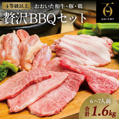 黒毛和牛 A5 A4 おおいた和牛 焼肉 豚 バラ 鶏 セット 合計 1.6kg バーベキュー