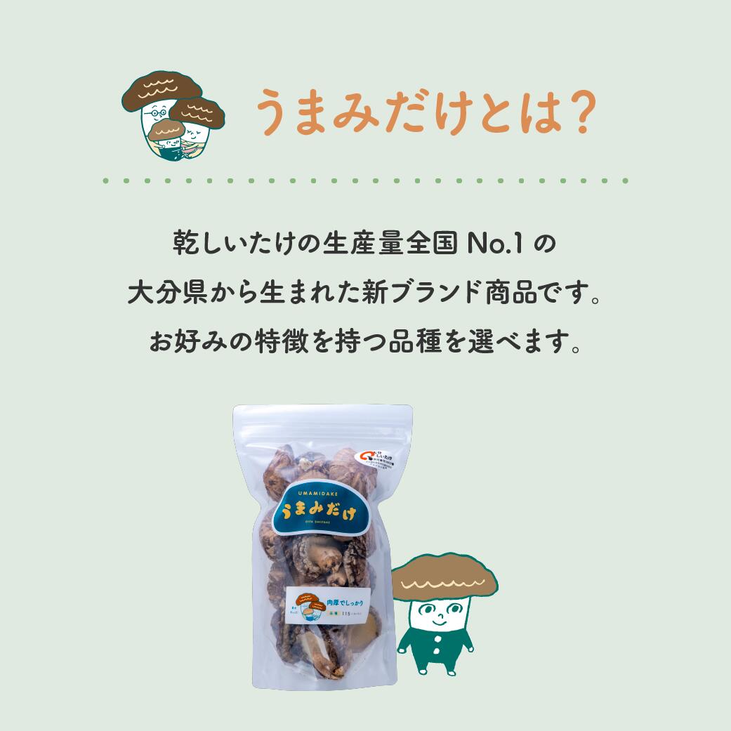 【ふるさと納税】乾し 椎茸 セット 360g 大分県 新ブランド うまみだけ 240 こつぶ 椎茸 どんこ 干ししいたけ 原木