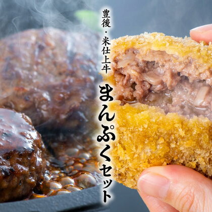 豊後・米仕上牛 ハンバーグ メンチカツ セット 計 10個 手づくり 牛肉 大満足 食べ比べ