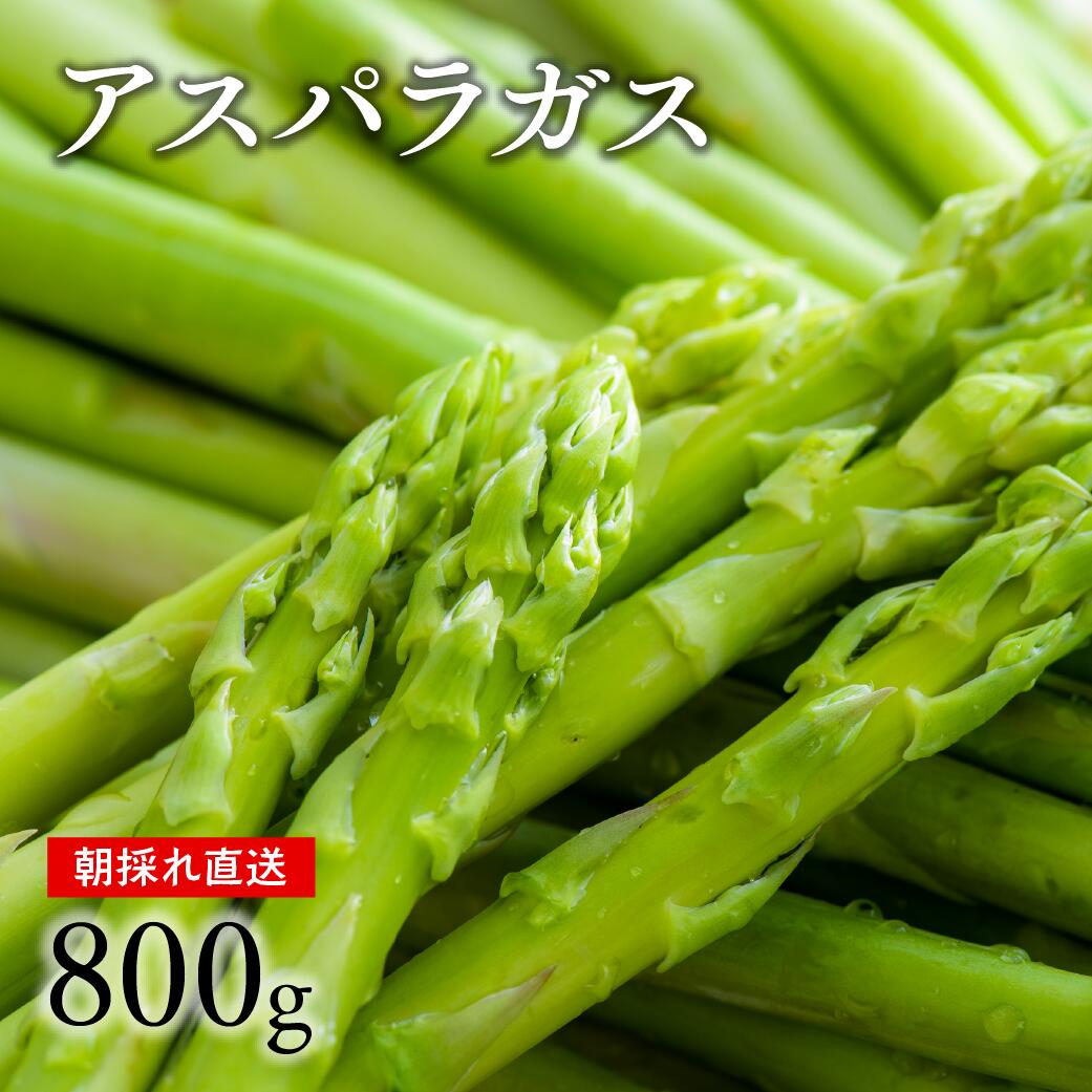 【ふるさと納税】アスパラ 野菜 グリーン アスパラガス 80
