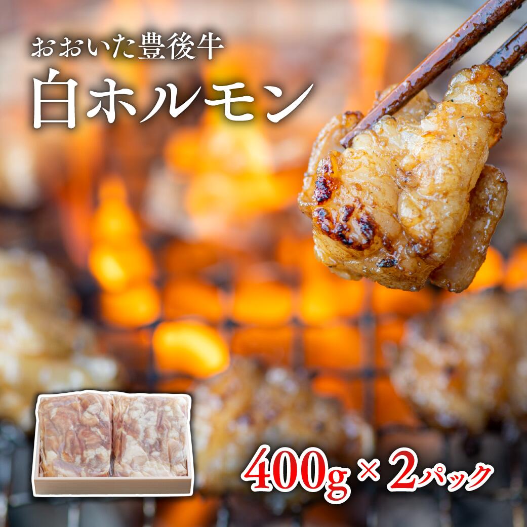 おおいた 豊後牛 白ホルモン 400g × 2P 黒毛和牛 和牛 国産 ブランド牛 ホルモン 内臓 鍋 焼肉 もつ