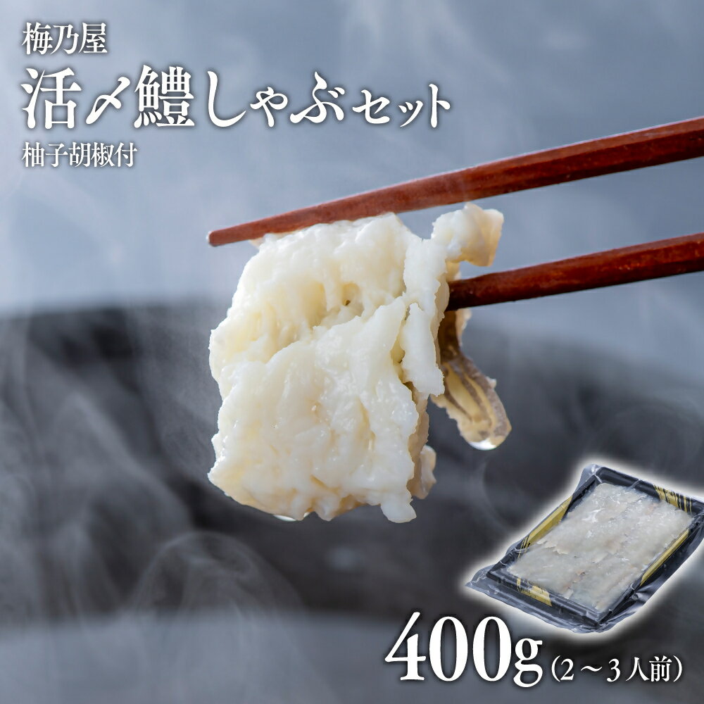 12位! 口コミ数「0件」評価「0」活〆 鱧 しゃぶしゃぶ セット 400g 2～3人前 魚介 魚 はも 鍋 白身 カボスぽん酢 柚子胡椒 付き