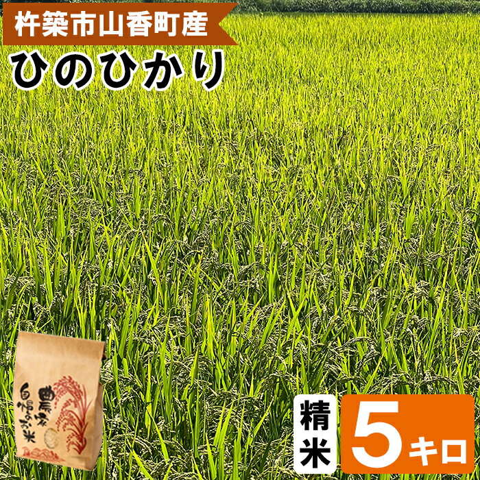 [ 令和7年産 新米 先行予約 ]山香ゆうきの会の米 5kg(精米:ひのひかり) 新米 5kg 米 先行予約 先行受付 [002-004]