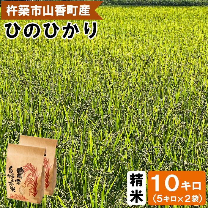 ڤդ뤵Ǽǡۡ 7ǯ  ͽ ۻ椦β 10kgơҤΤҤ  10kg  ͽ Լ ...
