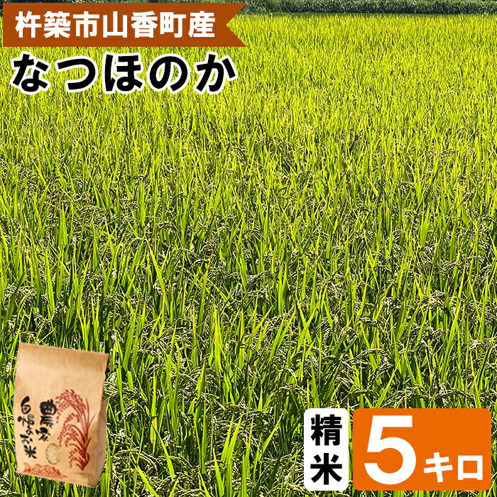 【ふるさと納税】【 令和7年産 新米 先行予約 】山香ゆうきの会の米 5kg（精米：なつほのか） 新米 5kg 米 先行予約 先行受付 ＜002-010＞