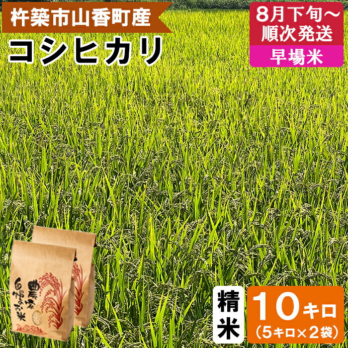 ڤդ뤵Ǽǡۡ 8ȯ 7ǯ  ͽ ۻ椦β 10kgơҥ  10kg  ...