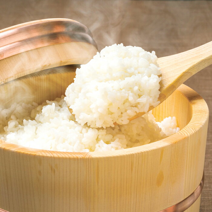 【ふるさと納税】【 令和7年産 新米 先行予約 】山香ゆうきの会の米 5kg（精米：なつほのか） 新米 5kg 米 先行予約 先行受付 ＜002-010＞