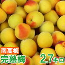 50位! 口コミ数「21件」評価「4.76」ひらそ農園の完熟梅 2.7kg 梅 南高梅 完熟梅 梅干し 梅酒 梅干 梅シロップ 梅ジャム 2キロ 数量限定 先行予約 6月 ＜004-0･･･ 