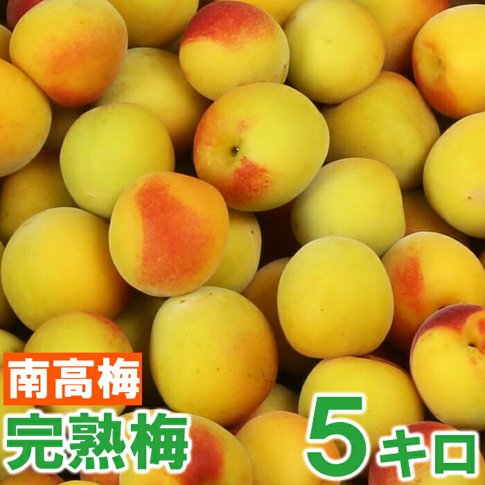 1位! 口コミ数「14件」評価「4.14」ひらそ農園の完熟梅 5kg 梅 南高梅 完熟梅 梅干し 梅酒 梅干 梅シロップ 梅ジャム 5キロ 数量限定 先行予約 6月 ＜004-009･･･ 