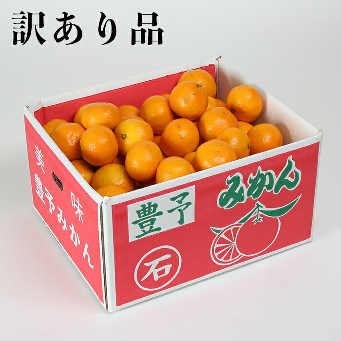 【ふるさと納税】【訳あり・規格外品】野菜ソムリエ石児さんの「温州みかん 約10kg」 先行予約 果物 フルーツ 傷 不揃い＜05-A0082＞