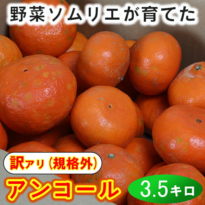 【ふるさと納税】【訳あり・規格外品】野菜ソムリエ石児さんの「アンコール 約3.5kg」 先行予約 3月 4月 果物 フルーツ 傷 不揃い ＜103-017_5＞