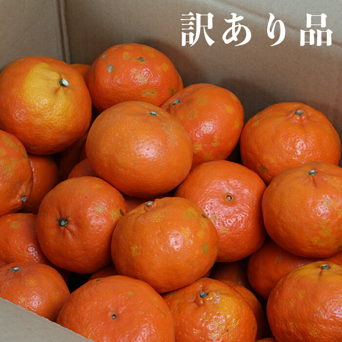 【ふるさと納税】【訳あり・優品】野菜ソムリエ石児さんの「アンコール 5kg」 先行予約 果物 フルーツ 傷 規格外 不揃い＜05-B0039＞