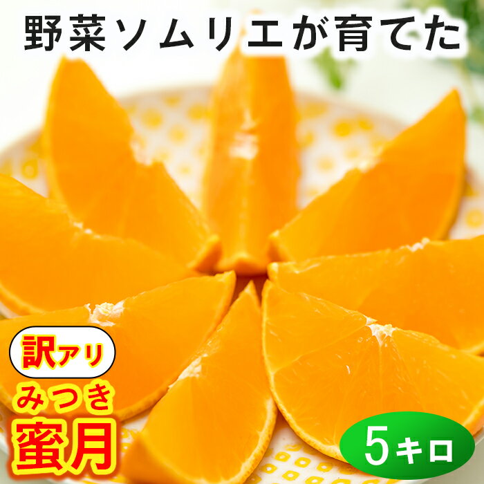 【ふるさと納税】【訳あり・優品】豊予農場限定！野菜ソムリエ石児さんの「蜜月（みつき） 約5kg」 先行予約 果物 フルーツ 傷 規格外 不揃い ＜103-B0049＞のサムネイル