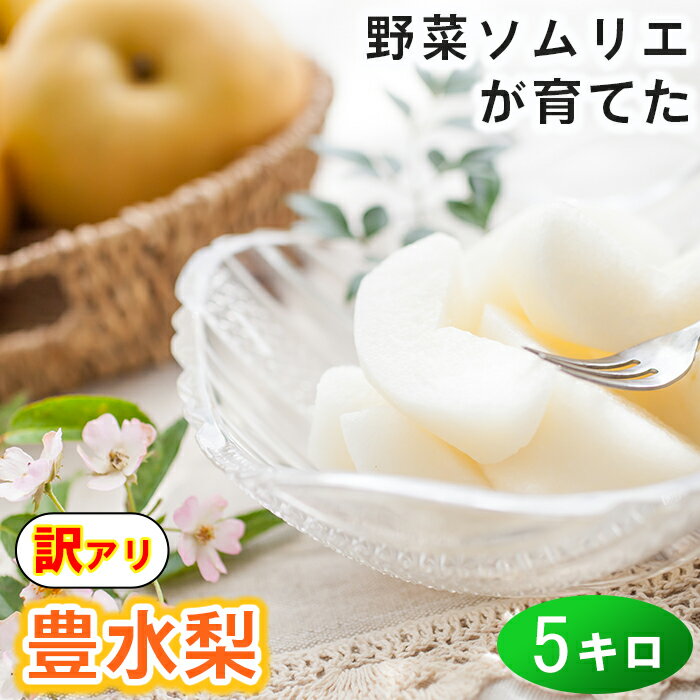 【ふるさと納税】 豊水梨 5kg 訳あり 優品 期間限定 数量限定 先行予約 サイズ不揃い 傷 規格外 フルーツ 果物 野菜ソムリエ石児さん 豊予農場 ＜103-A2049＞のサムネイル