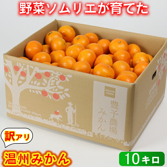 【ふるさと納税】 温州みかん 10kg 訳あり 期間限定 数量限定 先行予約 サイズ不揃い 傷 規格外 フルーツ 果物 野菜ソムリエ石児さん 豊予農場 ＜103-005_5＞のサムネイル