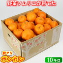 【ふるさと納税】【訳あり・規格外品】野菜ソムリエ石児さんの「ポンカン(みかん) 10kg」 ミカン みかん 柑橘 10kg 柑橘類 ぽんかん 訳あり フルーツ 先行予約 <103-010>