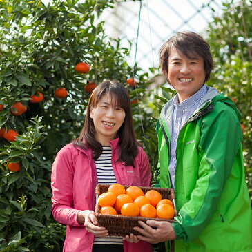 【ふるさと納税】【訳あり・優品】野菜ソムリエ石児さんの「せとか 5kg」 先行予約 果物 フルーツ 傷 規格外 不揃い<05-B0037>