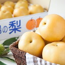 【ふるさと納税】野菜ソムリエ石児さんの「特選 新高梨5kg」