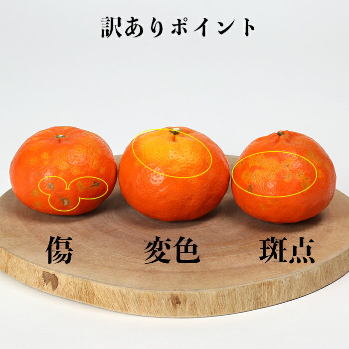 【ふるさと納税】【訳あり・優品】野菜ソムリエ石児さんの「アンコール 約2.5kg」 先行予約 3月 4月 果物 フルーツ 傷 規格外 不揃い＜103-018_5＞