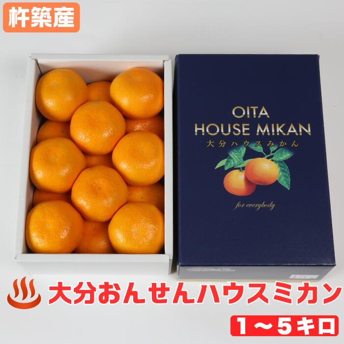 【ふるさと納税】大分おんせんハウスミカン 1kg〜5kg <132-702>