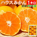 59位! 口コミ数「1件」評価「1」ハウスみかん約1kg（化粧箱入） みかん 温州ミカン 1kg 甘い 秀品 柑橘類 糖度 5月 6月 7月 ハウスみかん フルーツ 先行予約 ･･･ 