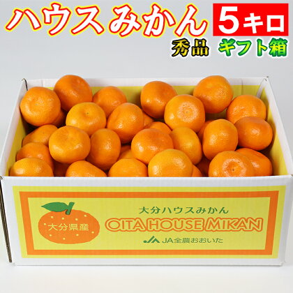 ハウスみかん約5kg（バラ詰め） みかん 温州ミカン 5kg 甘い 秀品 柑橘類 糖度 5月 6月 7月 ハウスみかん フルーツ 先行予約 九州 大分 杵築 ＜132-012_5＞