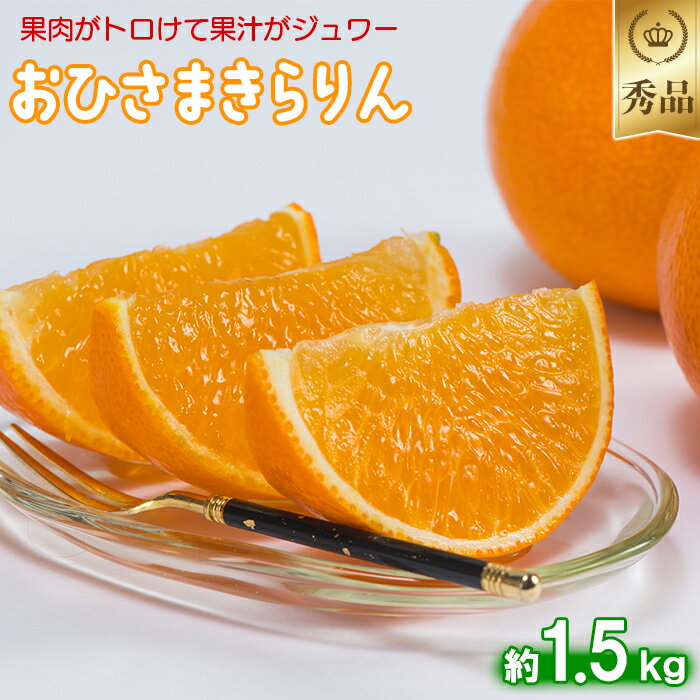 【ふるさと納税】今村農園のおひさまきらりん 約1.5kg【秀品】 先行予約 果物 フルーツ＜107-023_5＞のサムネイル