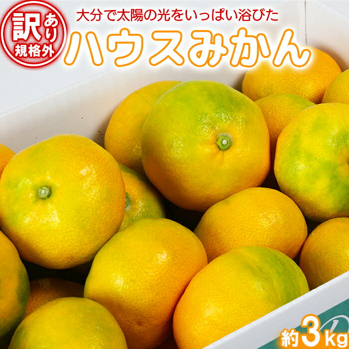 【ふるさと納税】【訳あり・規格外品】今村農園のハウスみかん 約3.6kg 先行予約 果物 フルーツ 傷 不揃い わけあり 甘い ＜107-001_5＞