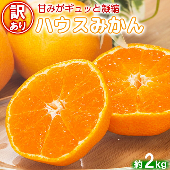 【ふるさと納税】【訳あり・優品】今村農園のハウスみかん 約2kg 先行予約 果物 フルーツ サイズが訳あり 不揃い わけあり 甘い ＜107-002_5＞のサムネイル