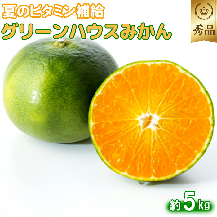 【ふるさと納税】今村農園のグリーンハウスみかん 約5kg【秀品】 先行予約 果物 フルーツ ギフト 甘い <107-012_5>