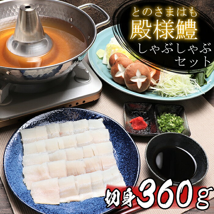 【ふるさと納税】殿様鱧（とのさまはも）しゃぶしゃぶセット 切身360g 鍋 魚 3人前～4人前 ＜101-012_5＞