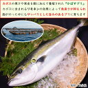 大分県杵築市の画像3