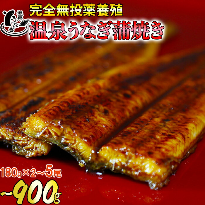 【ふるさと納税】温泉うなぎ蒲焼 2〜5尾(180gサイズ) 国産うなぎ 鰻<104-704_5>