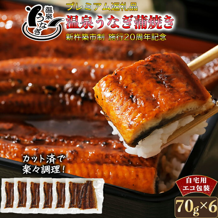 【ふるさと納税】完全無投薬養殖！大分水産の温泉うなぎ蒲焼（カット）70g×6 自宅用 エコ包装 ＜104-063＞